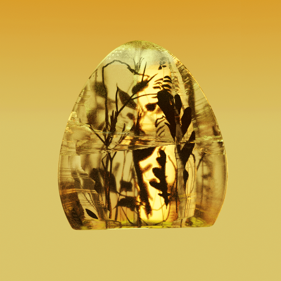 Flora in amber
