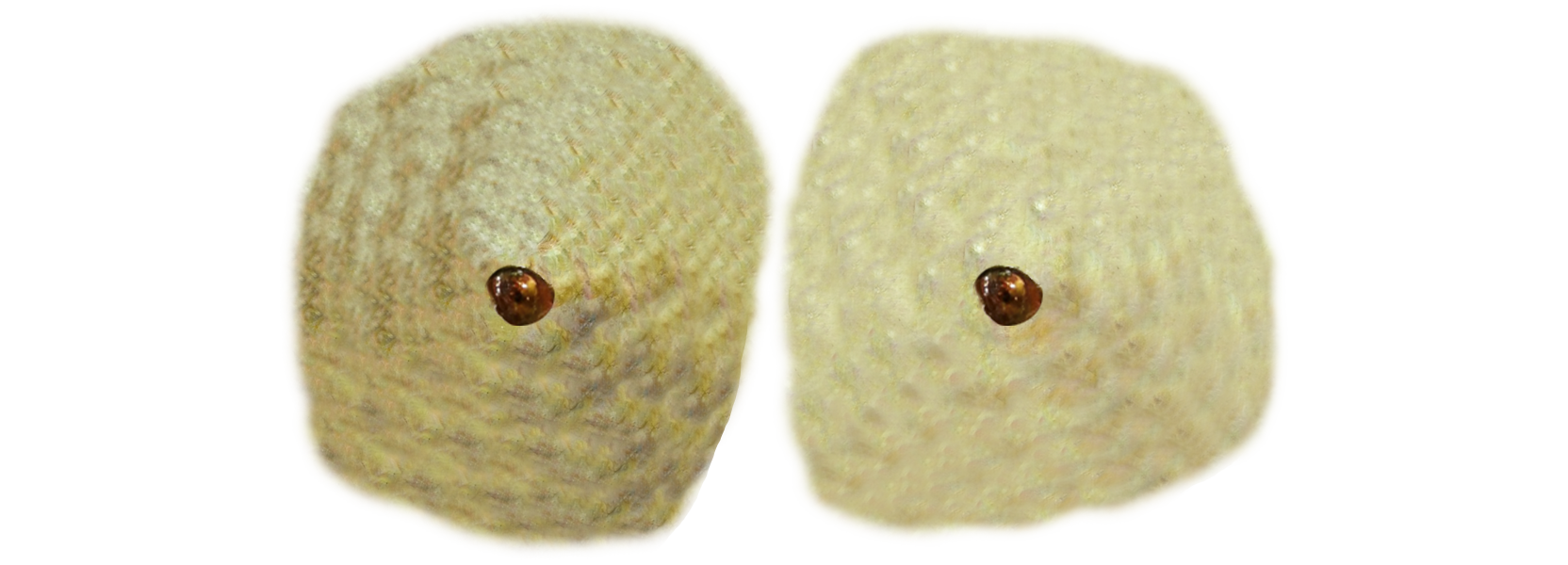 monster-face