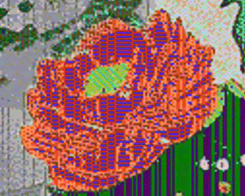 GIF