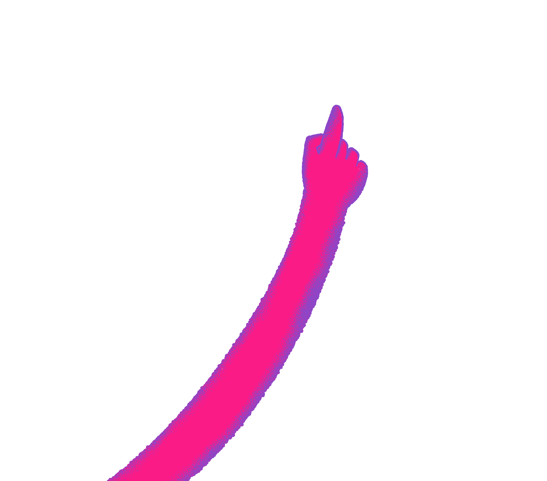 brazo